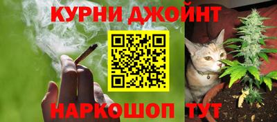 твердый Гатчина