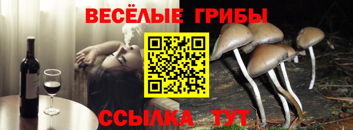 Северск  Галлюциногенные грибы прущие грибы  Вход с VPN 